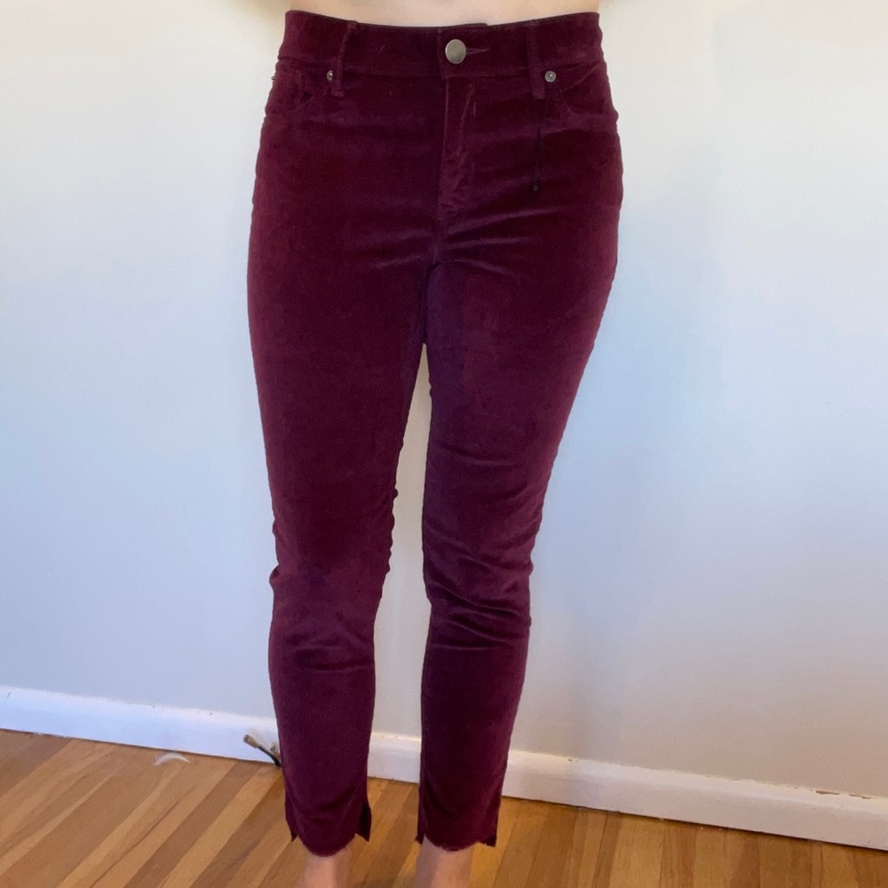 NWOT Express Pants